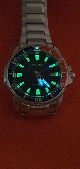 Citizen automatic diver