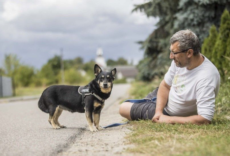 Greta poleca się do adopcji
