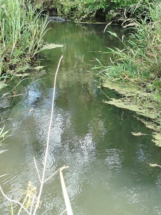 działki nad rzeką atrakcyjna cena