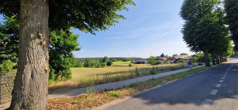 Działka na sprzedaż Dobiegniew-Grąsy piękna okolica
