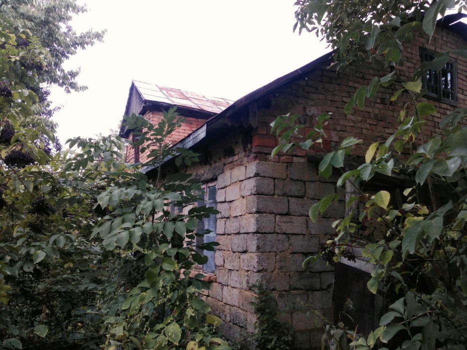 Продам земельну ділянку та будинок в селі Остриця