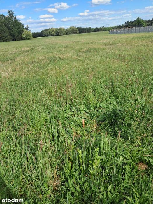 Na sprzedaż działka budowlana 36 arów – Nielepkowice - View 2