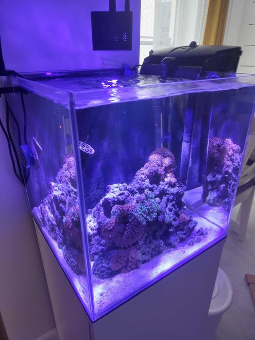 Kompletny zestaw akwarium morskie 64L (Szkło full optiwhite)