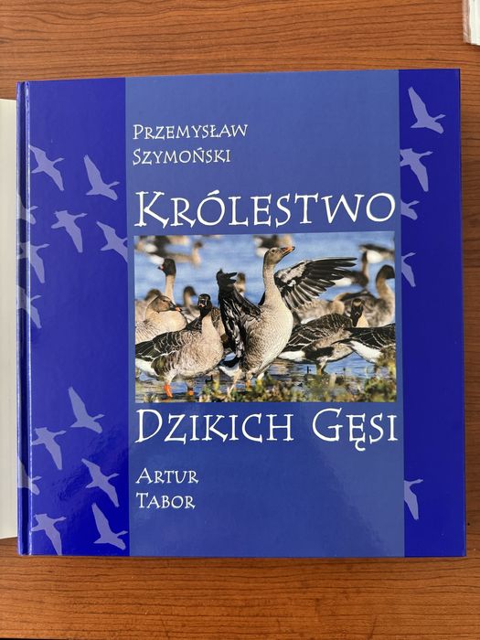 Album „Królestwo Dzikich Gęsi” - wydanie I