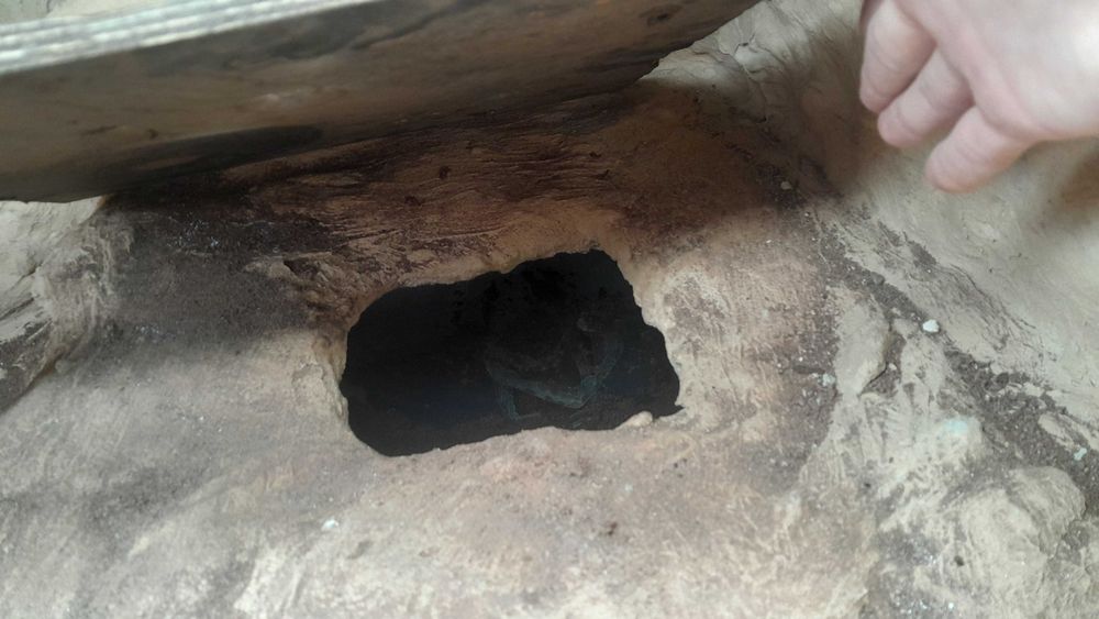 Terrarium 144x64x78cm jaszczurka