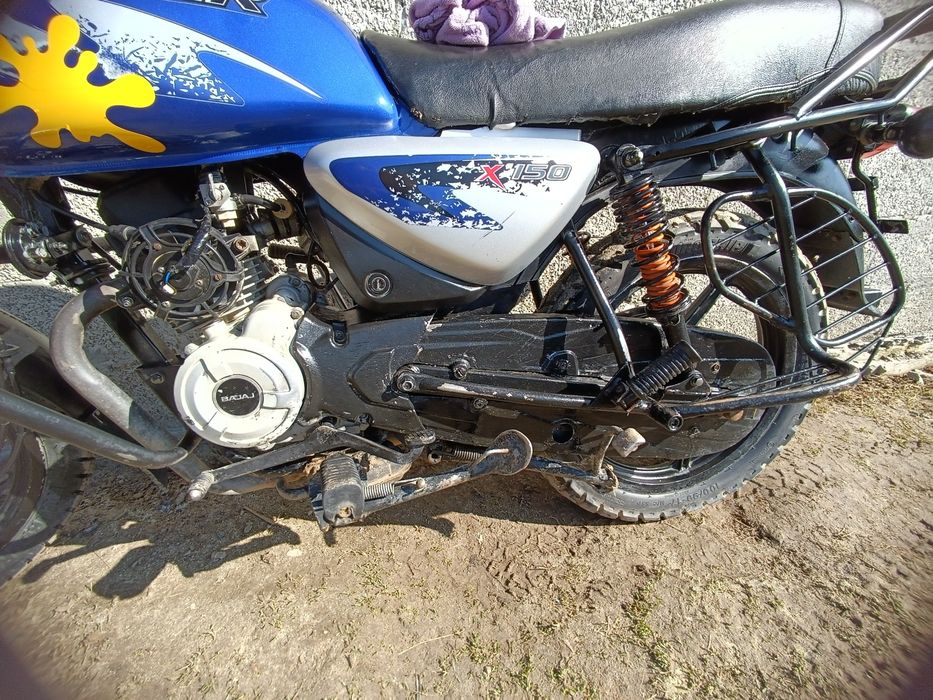 Продам баджач боксер 150