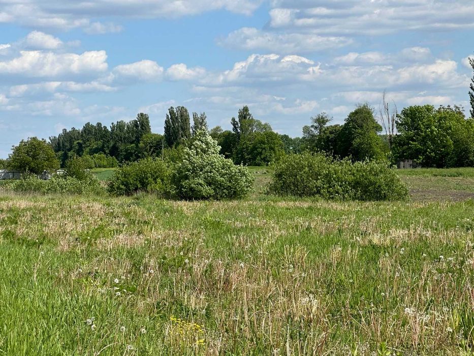 Продається земельна ділянка в Сосонці