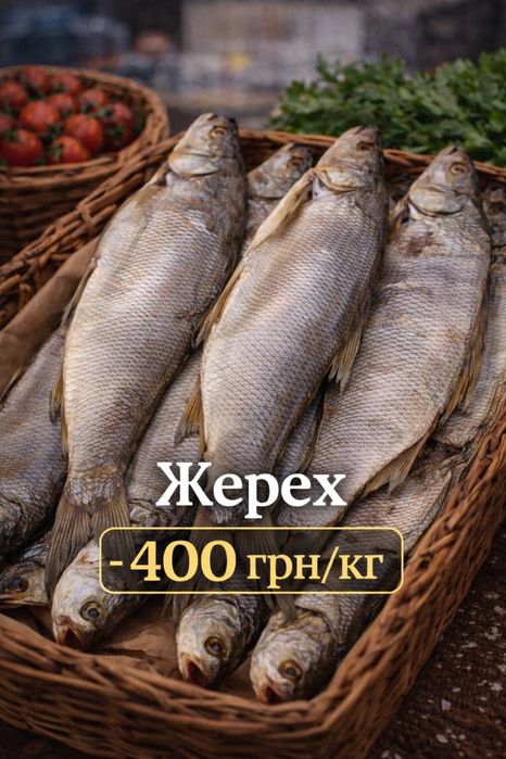 Вялена рыба. Оптом и розница. Тарань,Лещ,Судак,Щука, Окунь