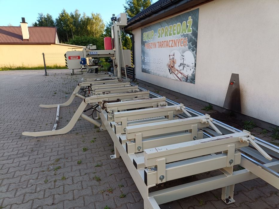 Trak taśmowy lignuma szerokotnący