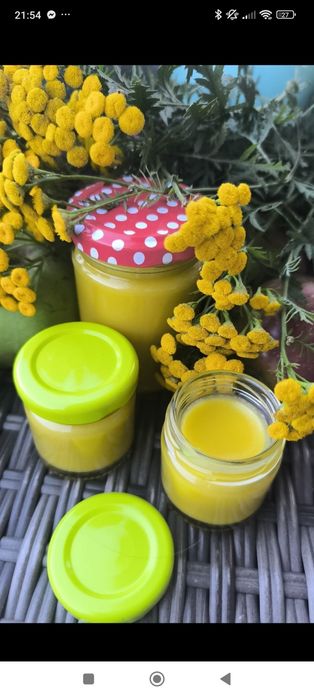 Maść z wrotyczu 40ml.