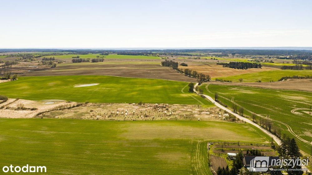 Niesułów-Działka Rolna 6,39 Ha Klasa III