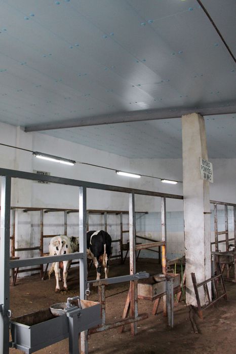 STYRODUR XPS AGRO Ocieplenie Docieplenie Izolacja Dachu Kurnika Obory