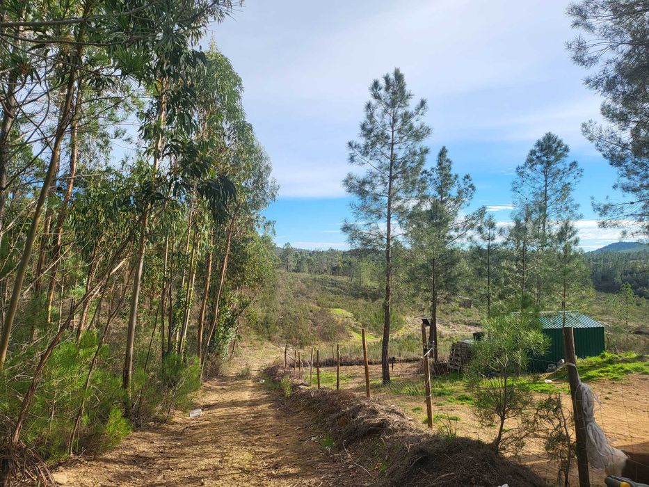 Refúgio Off-Grid 2.5ha com Ribeira e Autocaravana e solar