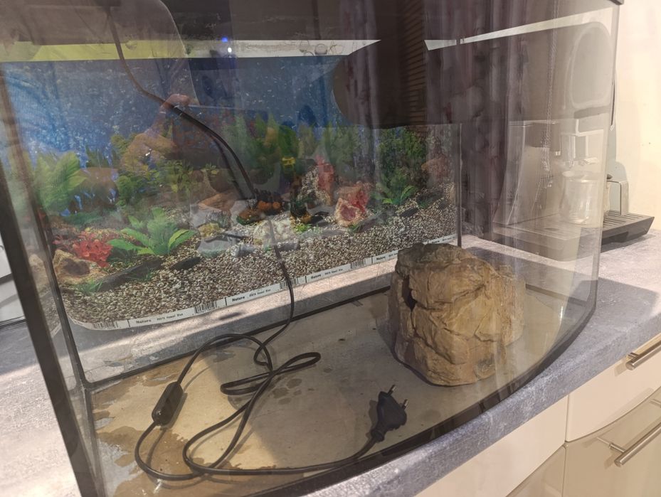 Akwarium 60 l z osprzętem i rybkami