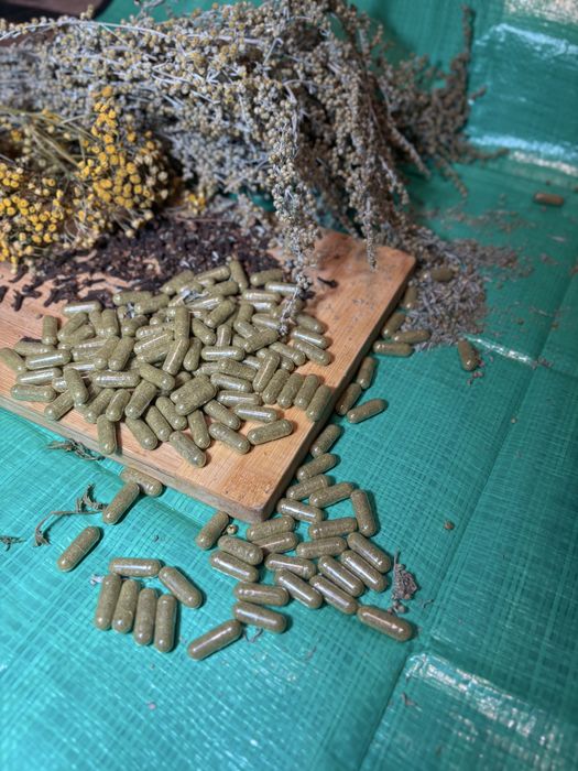 Капсули від глистів, від вірусів, антипаразитарка, трійчатка