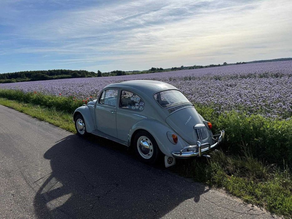 VW Garbus 1966r.