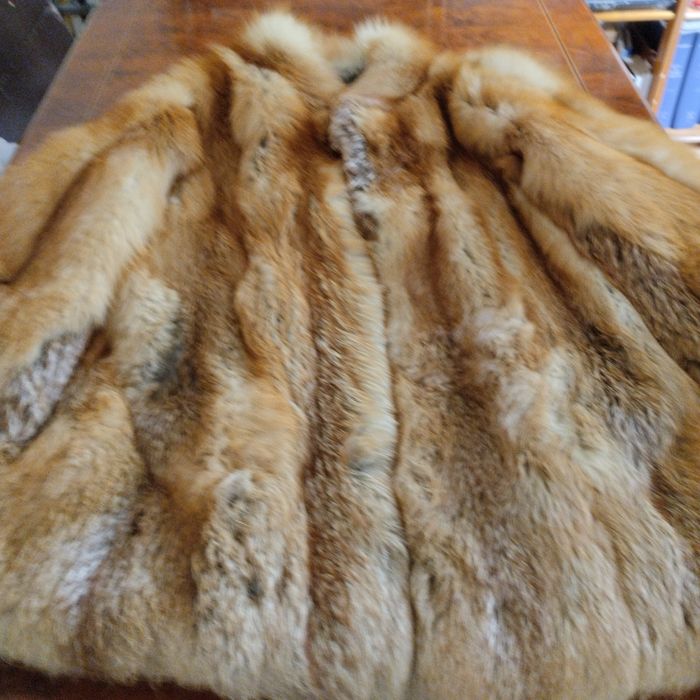 Casaco de raposa do Canadá