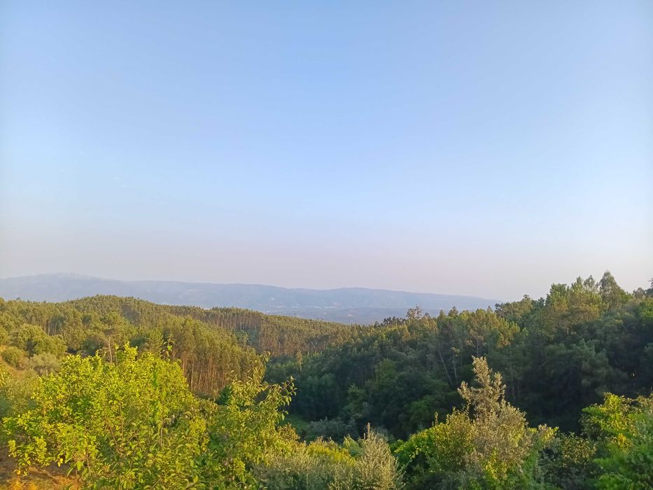 Vende Terreno Urbano 500 m2 - Carvalho, Ceira, Coimbra - 912740643