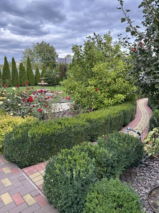 Продам Дім Провулок Польовий 10