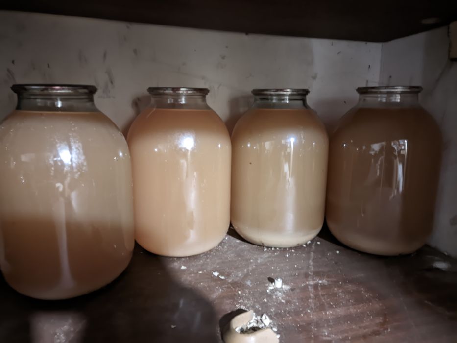 Продам яблочный  томатный морковный,,