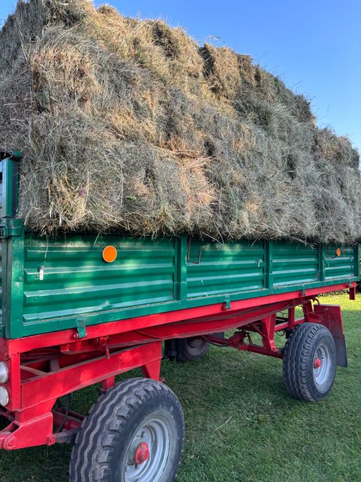 Siano, słoma, owies