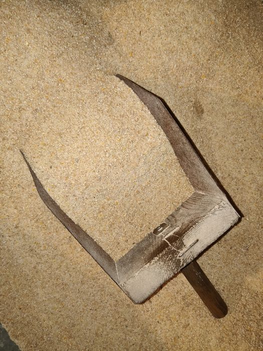 Ячмінь ярий  2025 року, дерть