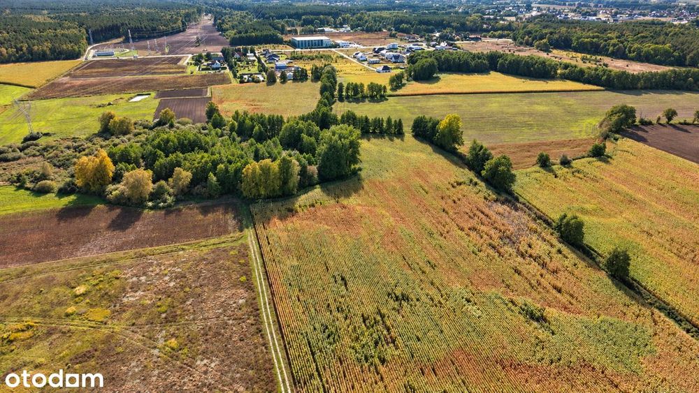 Działka Wilcze / Niwy gm. Osielsko, objęta MPZP - Widok 4