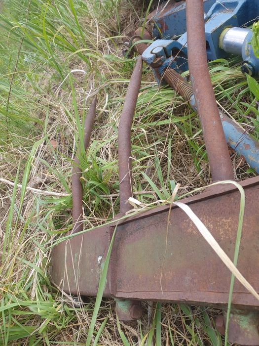 Zęby proste do krokodyla