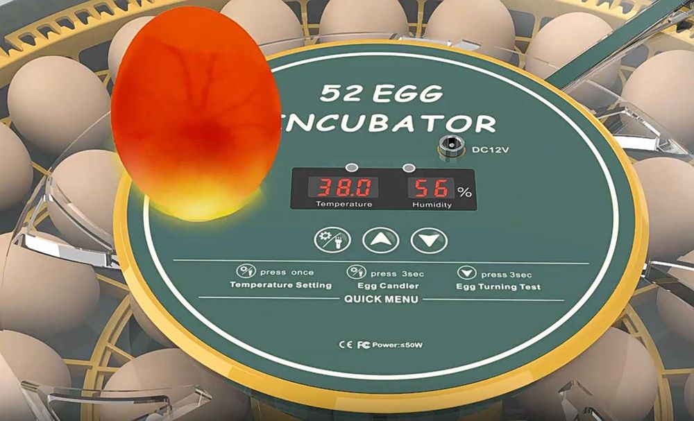 Inkubator do jaj automatyczny z wyświetlaczem wilgotności OVOstart 52