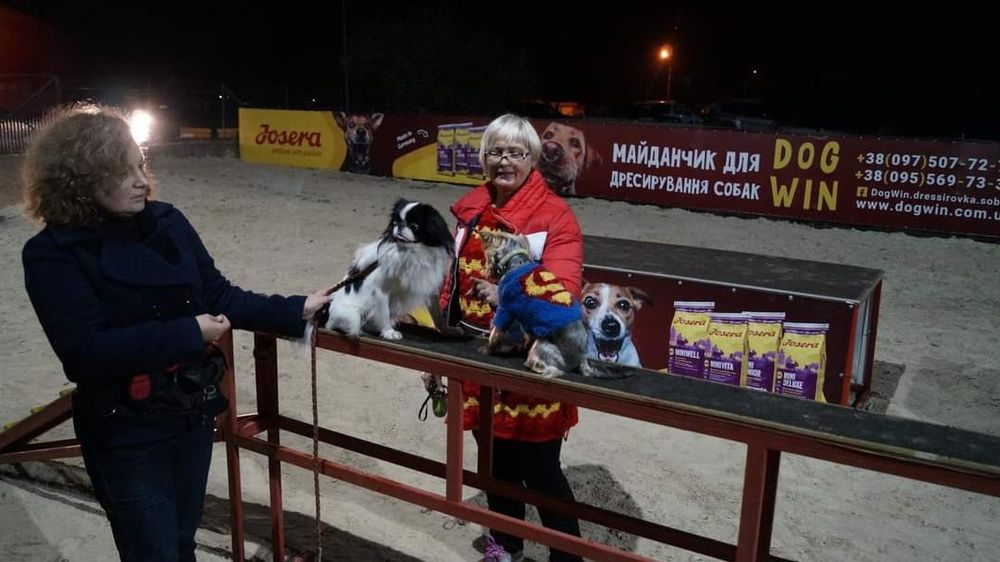 Кінолог Дресирування собак Київ клуб DogWin