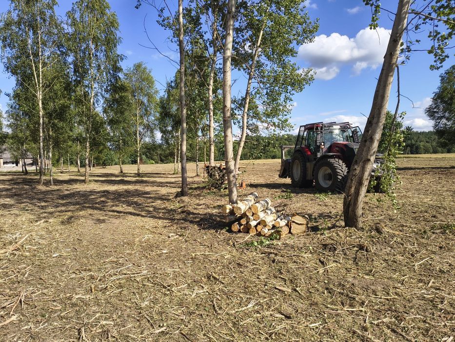 Mulczer leśny wgłębny powierzchniowy mulczowanie wycinka drzew działek