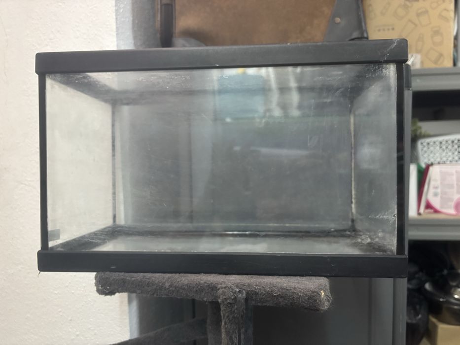 Aquario preto da para peixes oubpara tartarugas