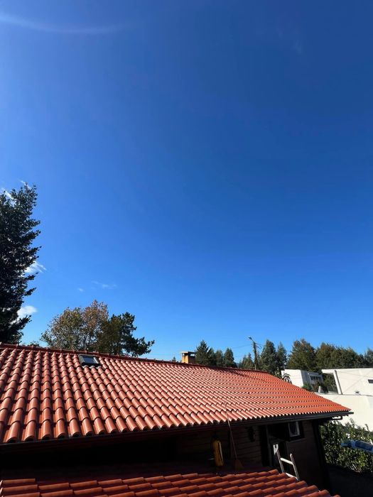 Pintor profissional e lavagem de Telhados