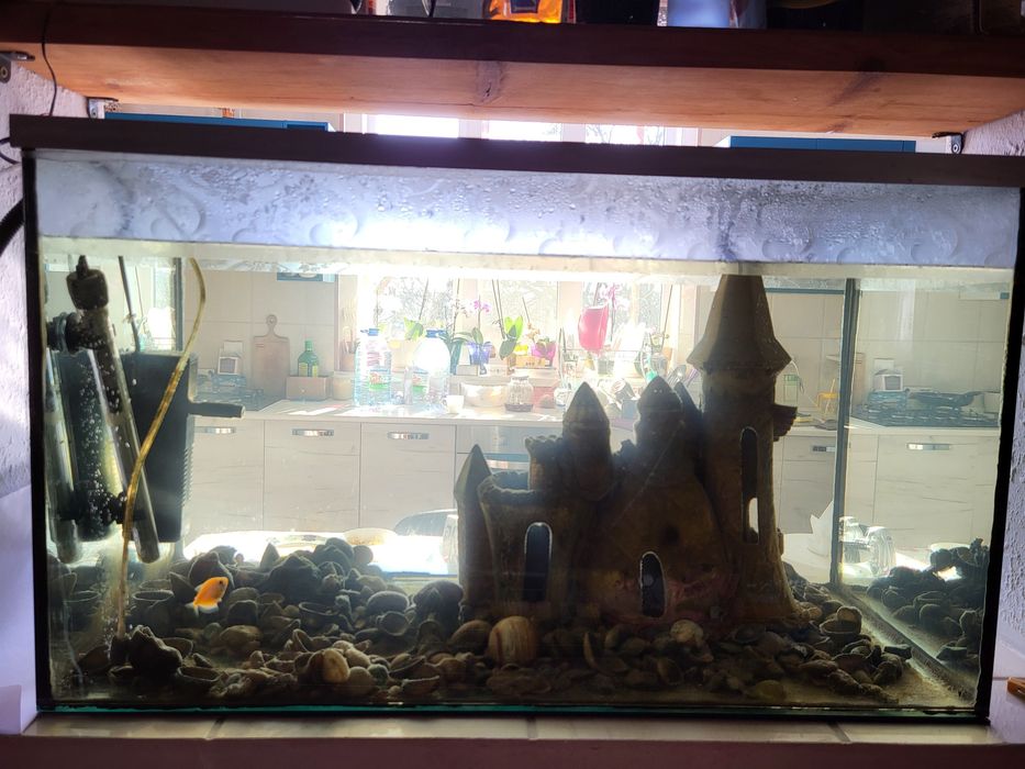 Акваріум 100 літрів