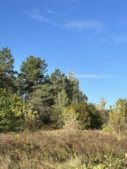Земельна ділянка, Ходосівка, 14 соток, вул. Островського, світло 16 кВт - Вид 2