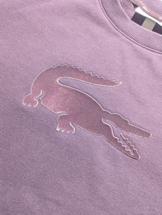 Свитшот худи Lacoste Ralph Lauren