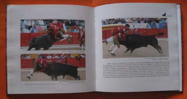 GRUPO DE FORCADOS AMADORES DE TOMAR, José Inácio Costa Rosa - 2007