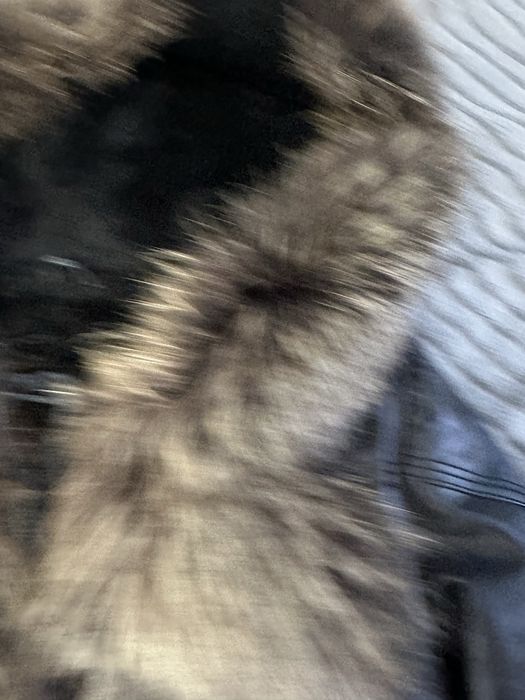 Дубльока жіноча шкіряна розмі L