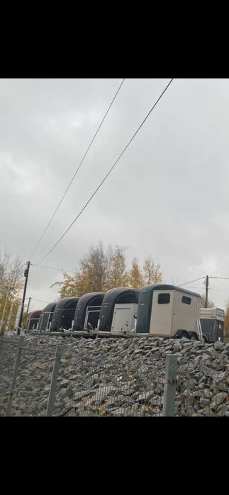 Przyczepy dla koni  Boeckmann
