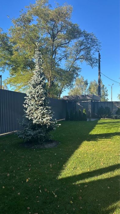 Ландшафт та РЕМОНТ - все що треба для життя