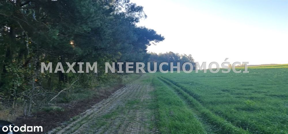 Piękne działki w miejscowości Zaręby - Widok 3