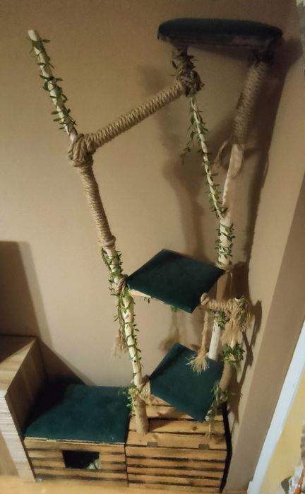 Drapak dla kota wysoki!