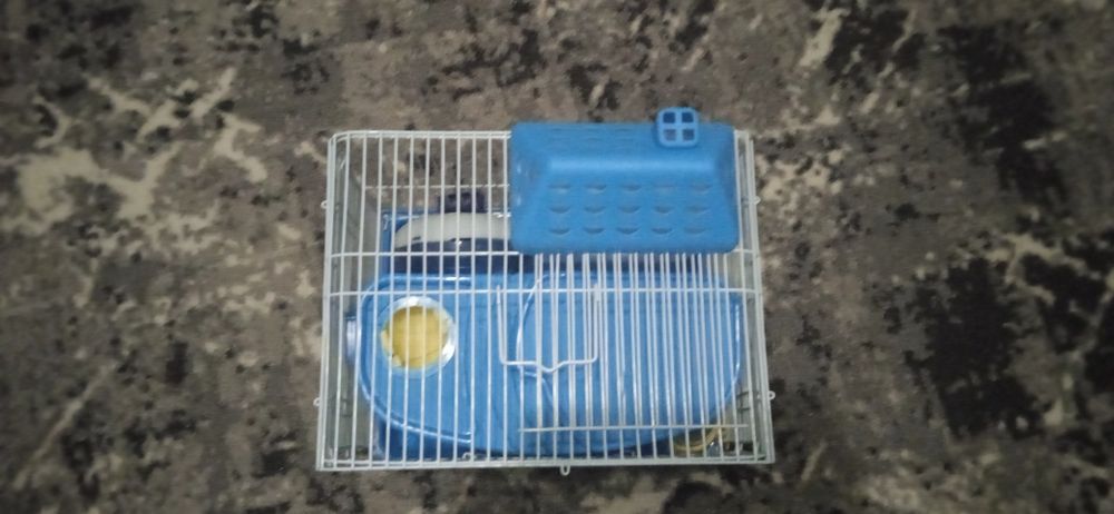 Клітка для хом'яка