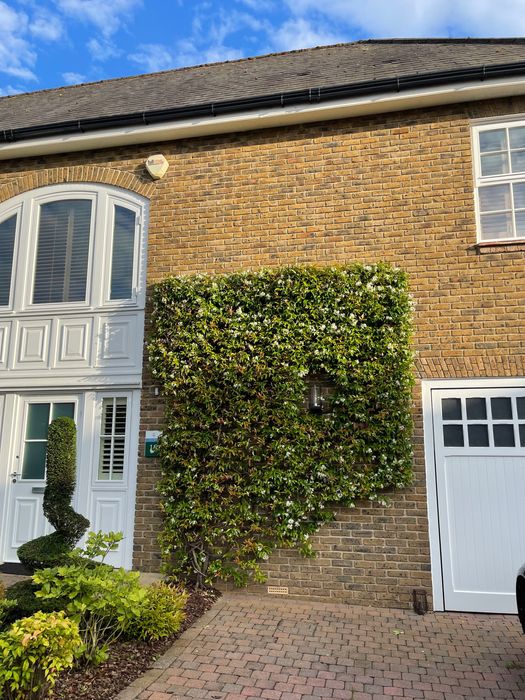 Serviços de Jardinagem - Manutenção de Jardins