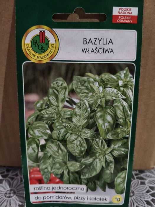 Bazylia właściwa