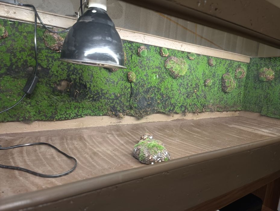 Terrarium dla żówia/ innego gada