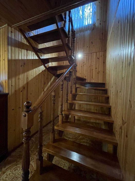 Будинок в Карпатах під лісом