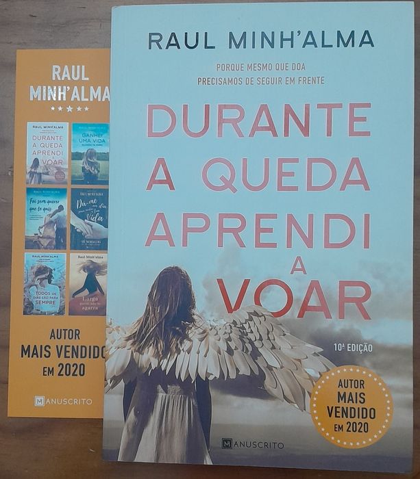 Durante a queda aprendi a voar de Raul Minh`Alma
