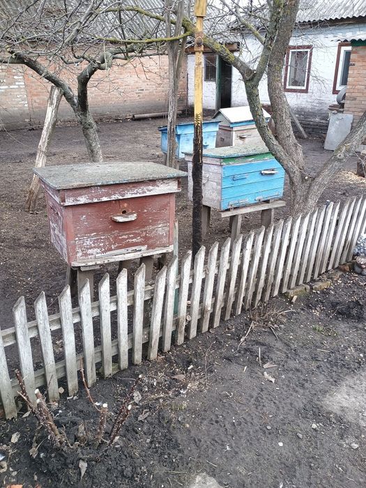 Вулики 6шт улики