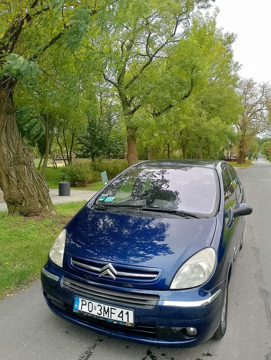 Citroen Xsara Picasso szuka domu